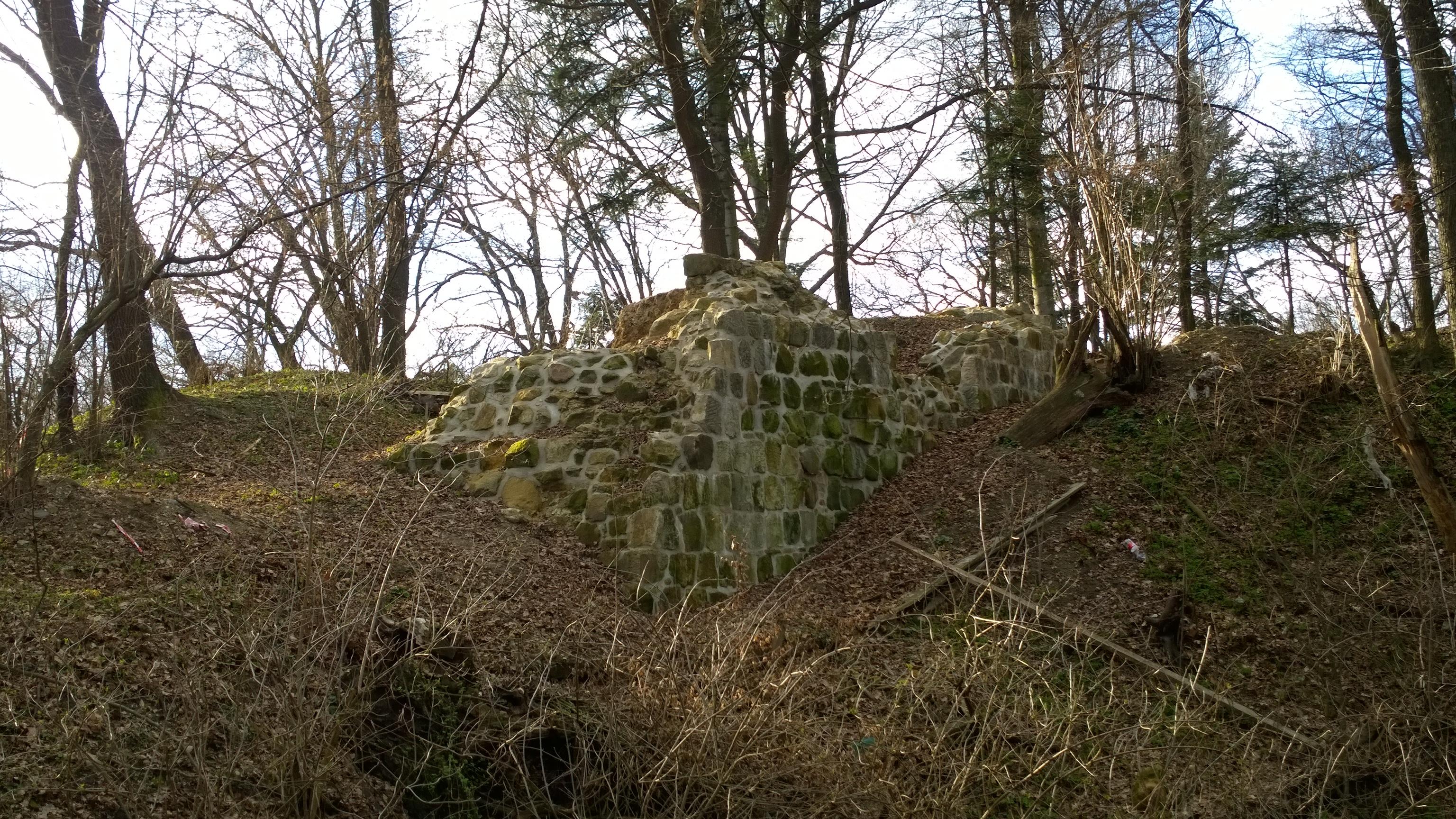 Zamek Golesz w Krajowicach